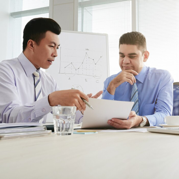 Technical Consulting & Compliance Support