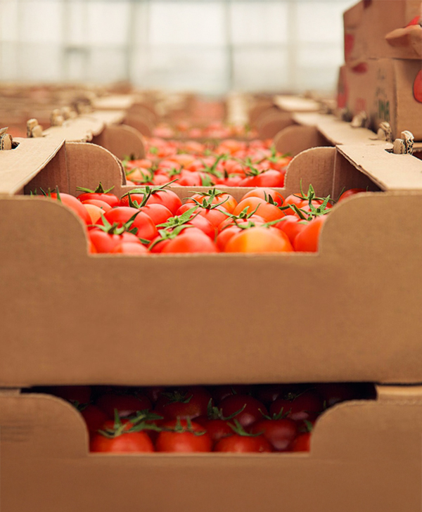 Product Reformulation for Export